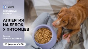 Бесплатный вебинар «Как определить аллергию на белок у питомца и подобрать оптимальный корм»