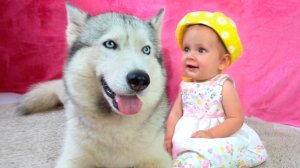 Бинго | Детские стишки и Песенки для детей+Детские сборники+Детские песенки и веселые сборники