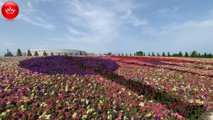 😍Парк Галицкого весной это море из цветов и место притяжения туристов.