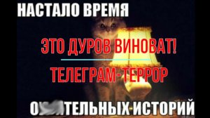 Это Дуров виноват!..