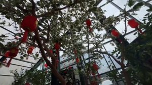 Мы ТОЖЕ добрались до ЗНАМЕНИТОГО Аптекарского огорода!! Наконец-то!