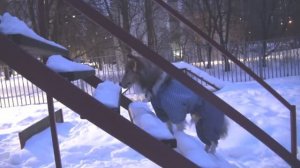 Лета 3.02.2024 субботняя прогулка