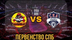 Шайба 13 - СКА Серебряные Львы 13