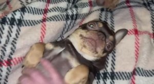 Доброго утречка и чудесного начала дня.