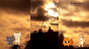 Кто прекраснее всех? конечно закаты! #закат #музыка