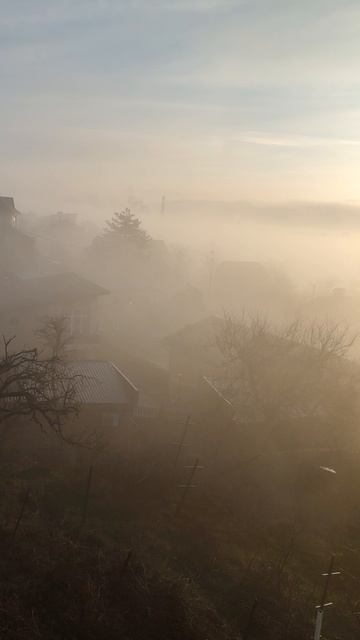 Немного утренней красоты.