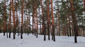 Из героев в должники. И немного о профсоюзах