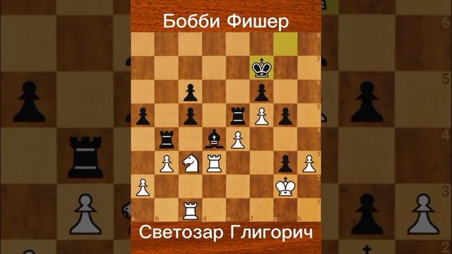 Бобби Фишер против Светозара Глигорича. Финал олимпиады, 8-й тур. Зиген (Германия), 22.09.1970.