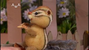 Истории старого чемоданчика. Полёт бурундучка