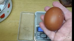 26-02-2026. Очень крупные яйца стали нести курочки 🐔🤔🙄🥚