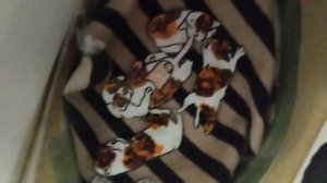 сделала лужайку 🐾