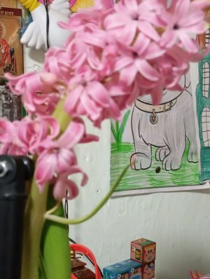 привет всем