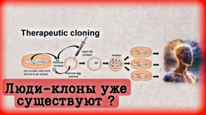 Клонирование, Голограммы и Тайны Реальности.