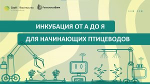 Инкубация от А до Я для начинающих птицеводов