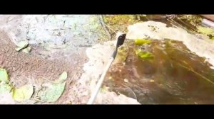 поездка за воблерами ЧАСТЬ 30