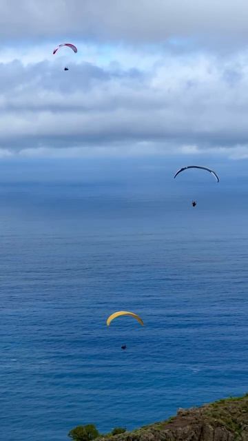 Счастье в мелочах.