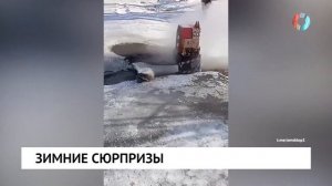 Ответ по Добровольского