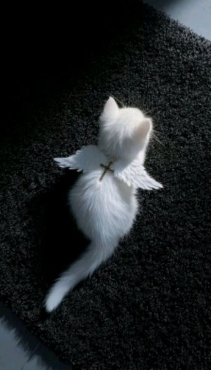 на связи с💯