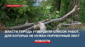 Порубочные листы больше не требуются для работы коммунальных служб вблизи ЛЭП и у дорог