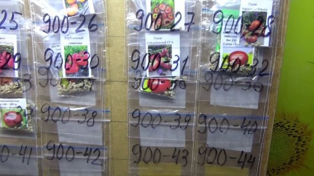 ПОСЕВЫ 2026-35. Укладываю семена новых томатов в АРХИВ на 5 лет. смотреть онлайн