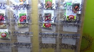 ПОСЕВЫ 2026-35. Укладываю семена новых томатов в АРХИВ на 5 лет.