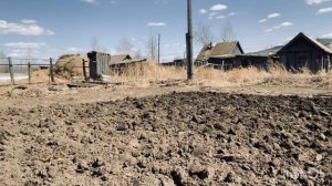 Тихий ужас - рассада погибла