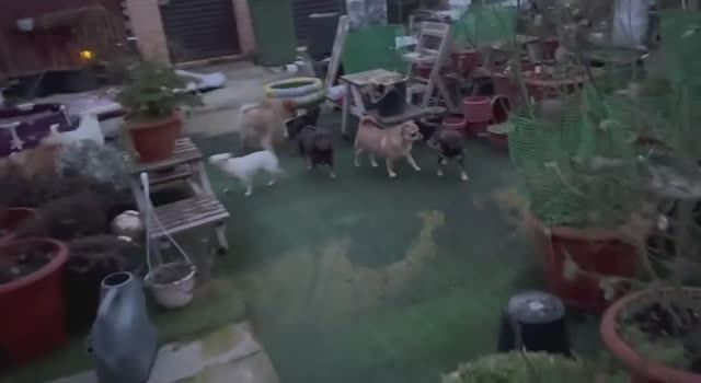 Немножко погуляли, ждем тепла и солнышка. смотреть онлайн