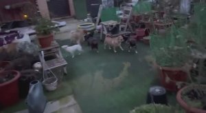 Немножко погуляли, ждем тепла и солнышка.