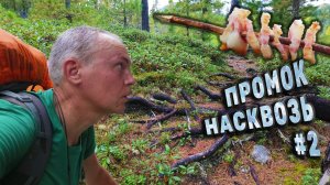 Забрался в горы и пожарил сало. Победа :) День 1 Серия 2