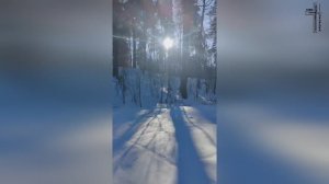 Я ЕСТЬ ХЛЕБ, СШЕДШИЙ С НЕБЕС / МОЛИТВА В ЛЕСУ МОРОЗ 🙏