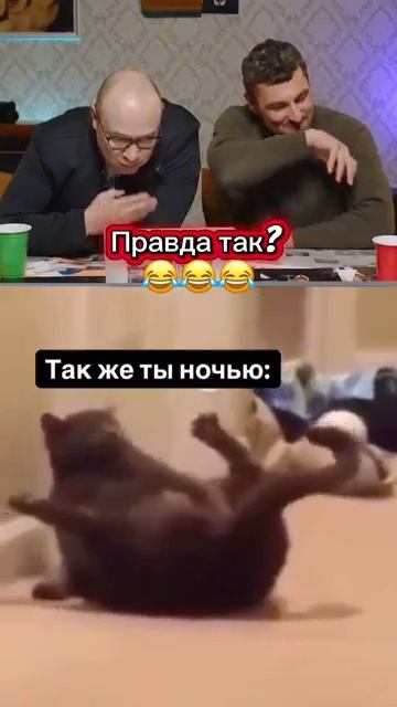 Все так как она показывает смотреть онлайн