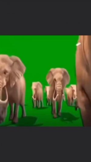 Вот вам слонiки👍♥