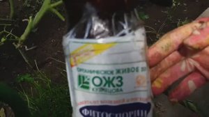 2263.  О пользе Фитоспорина.