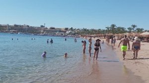 Ghazala Beach ...Ghazala Garden ...Шарм-эль-Шейх. Обзор отеля 2026 г. Моё мнением