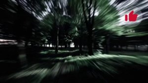 Klip-Top - Не Буди Зверя