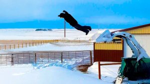 NEW! America′s FHV. POV You're About to Fail HARD | AFV's Funniest Moments Compilation