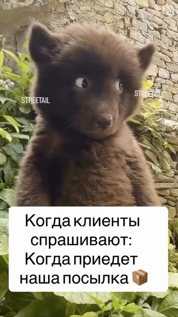 STREETAIL MEM STREETAIL MEM