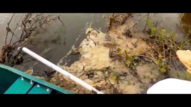 поездка за воблерами ЧАСТЬ 41