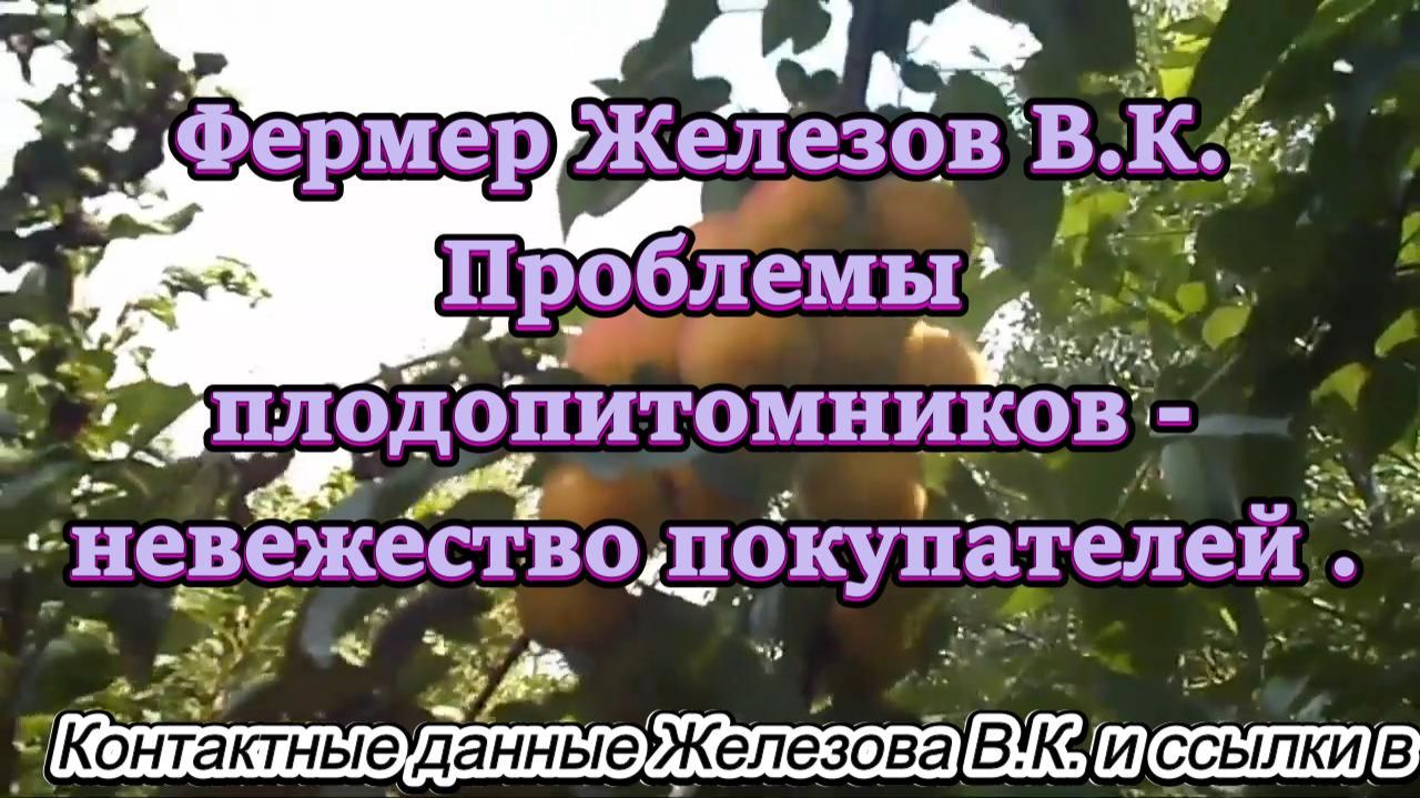Фермер Железов В.К. Проблемы плодопитомников - невежество покупателей . смотреть онлайн