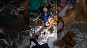 Отливка от сущностей, лярв, подселенцев.