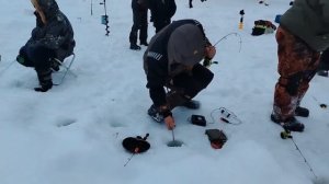 26.02.26 г. РК Волна.