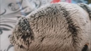 Слова  Басика   (2 часть)