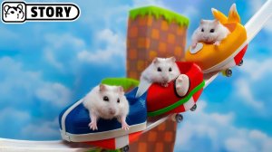 Хомяк на звуковых американских горках 🐹 Хомяк Хомура