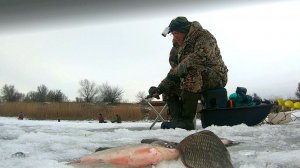 трудовая рыбалка от лунки к лунке, карася вымучивал.