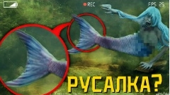 Сергей онис