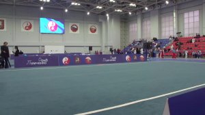 Чемпионат и первенство России (таолу, юнчуньцюань), г. Москва