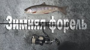 Зимняя форель 2026 🎣 #fishing #travel #mountains 🗻