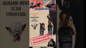 Плановый-внеплановый