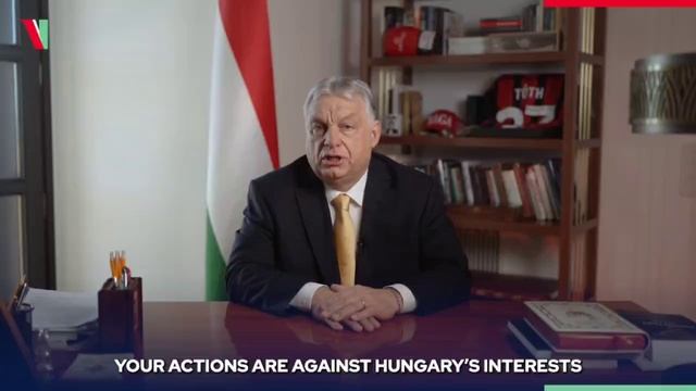 ����� ������� ���������� ���������� ����������� ������ ������������ 