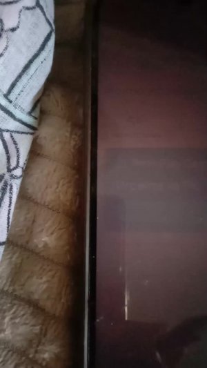 как получить монеты в аватар? world